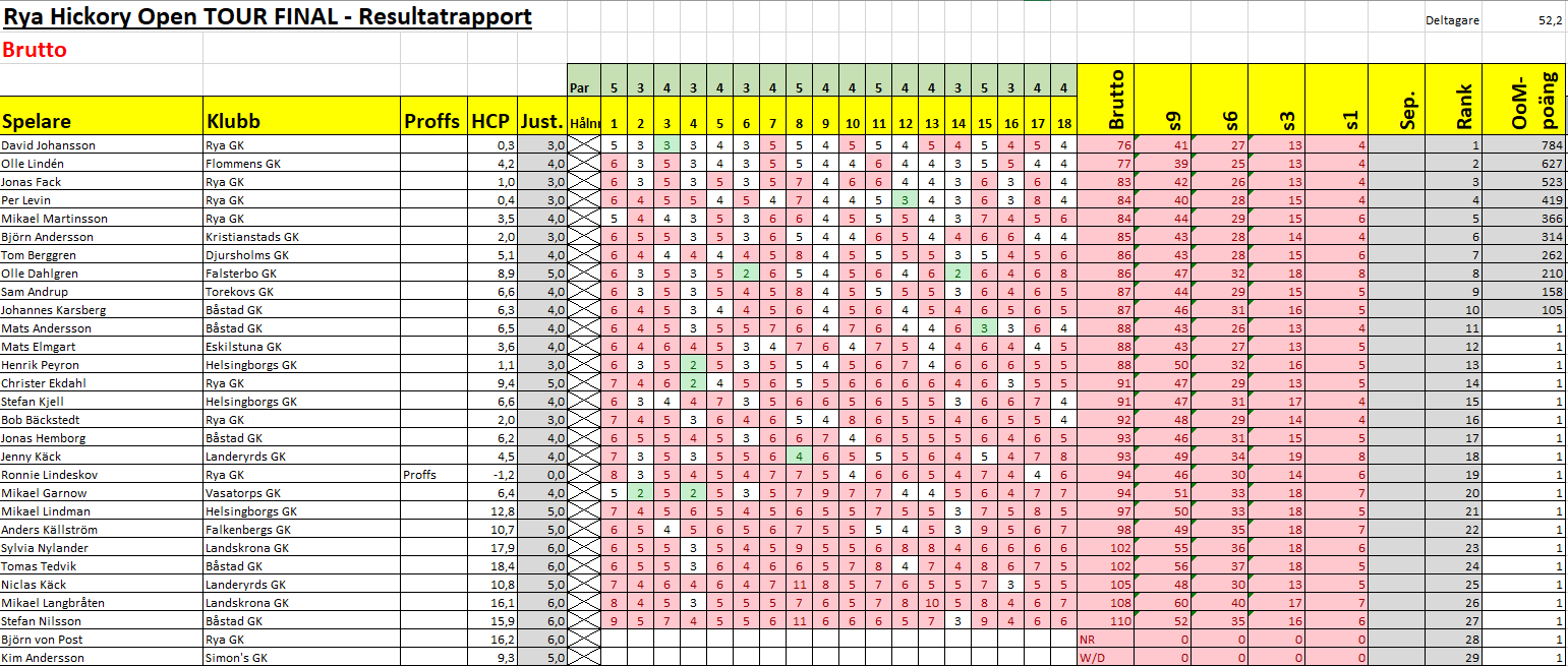 rya resultat brutto