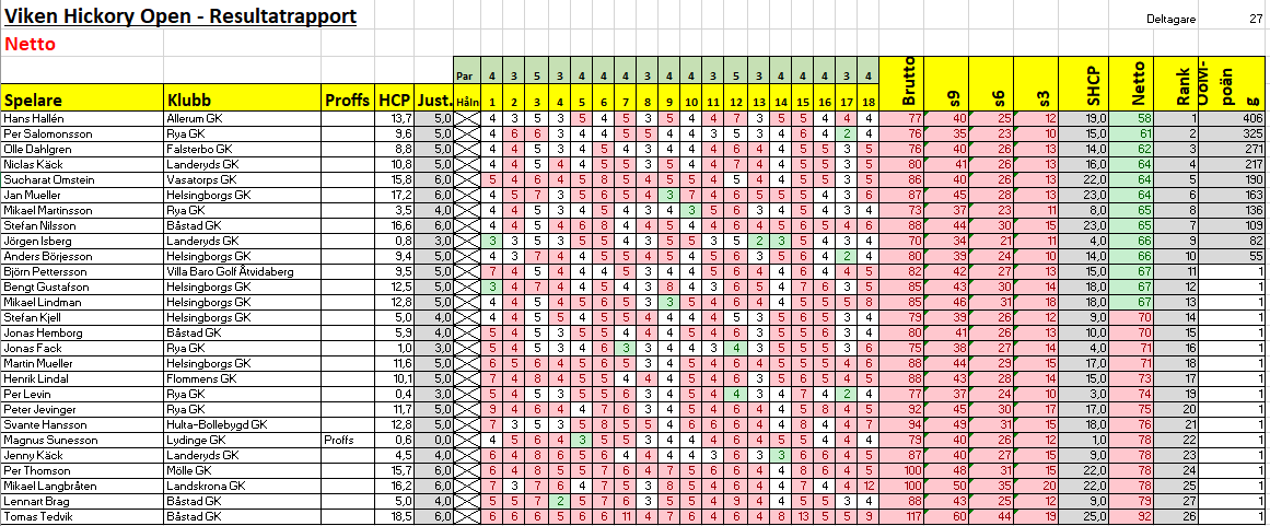 viken resultat netto